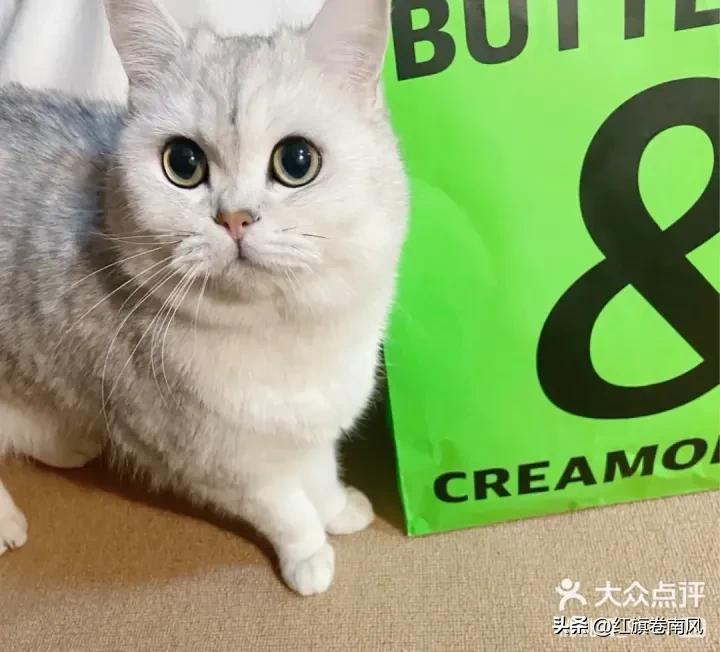 上海闵行老餐馆,上海十大人气餐馆