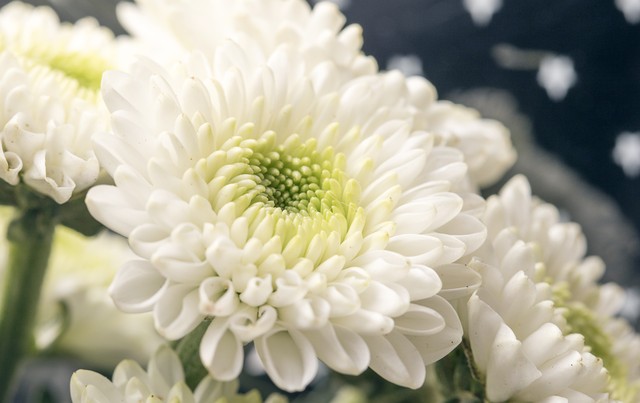 大姨妈来了能肛检吗,大姨