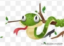 家蛇能打蛇吗,蛇入鸡窝能打死蛇吗