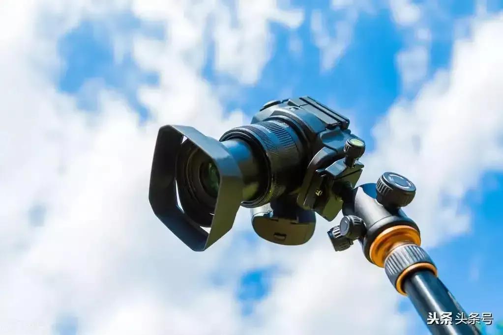 城管执法遇流动商贩抗法,不牵狗绳城管执法遇抗法处置案例