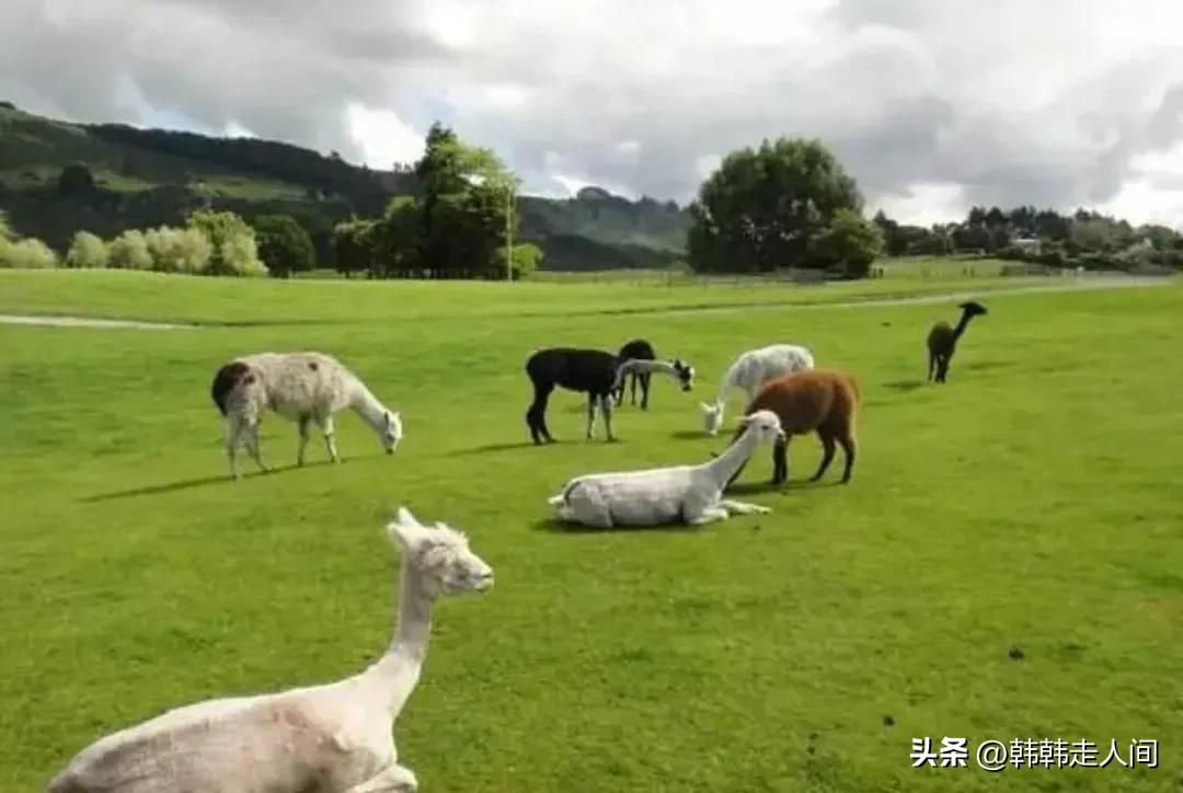 英国日不落帝国为啥成了美国小弟,英国是怎么从日不落帝国衰落的