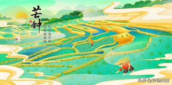 芒种夏始，胃不舒服用舒适的安翰磁控胶囊胃镜查查胃