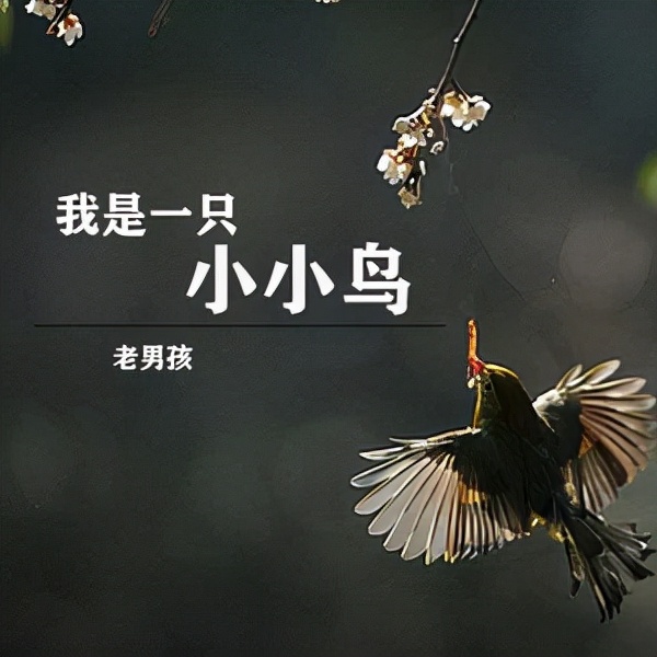 nba乔丹公牛纪录片,nba篮球人物纪录片全部