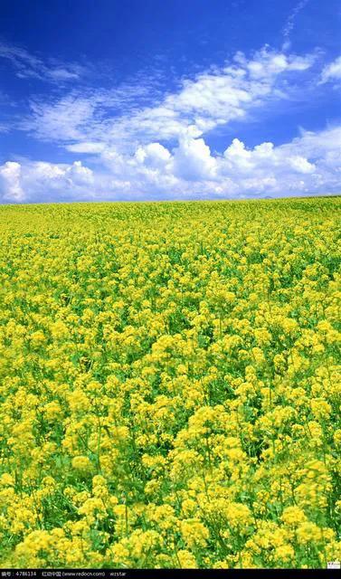 宁远文庙泠江路口怎么走,宁远县泠江河流走向图