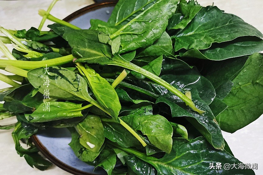 小寒之后到底养阴还是养阳,小寒过后要养阳