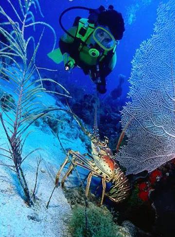 蓝色海景壁纸图片大全,海景壁纸4k超清全面屏