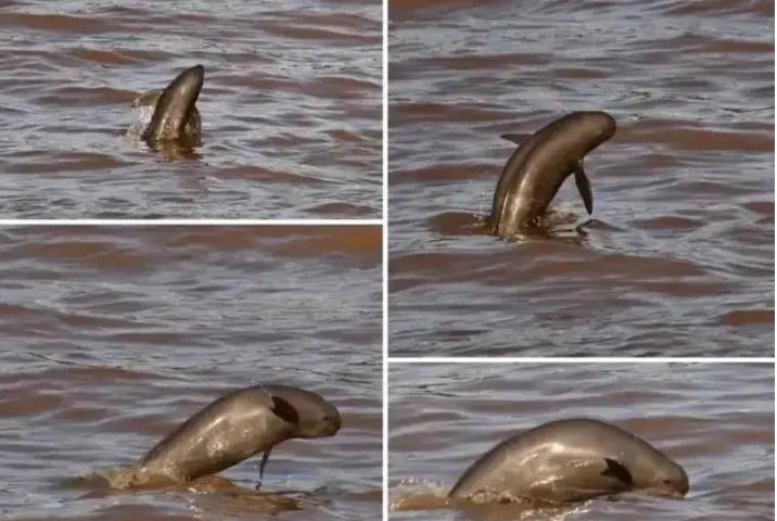 长江流域十年禁渔地理位置范围,长江禁渔十年的区域图片