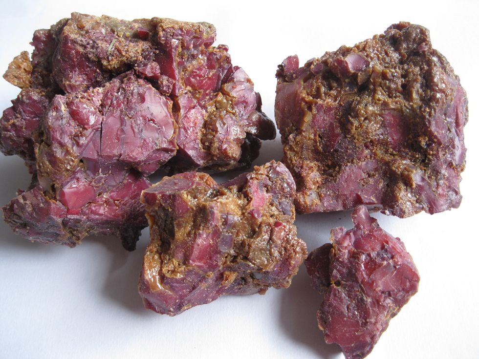 钓鱼阿魏最牛的配方,阿魏钓鱼有妙招