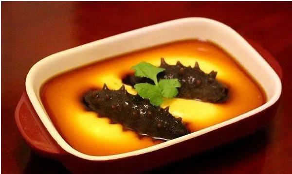 海参知识100问,海参知识图片大全