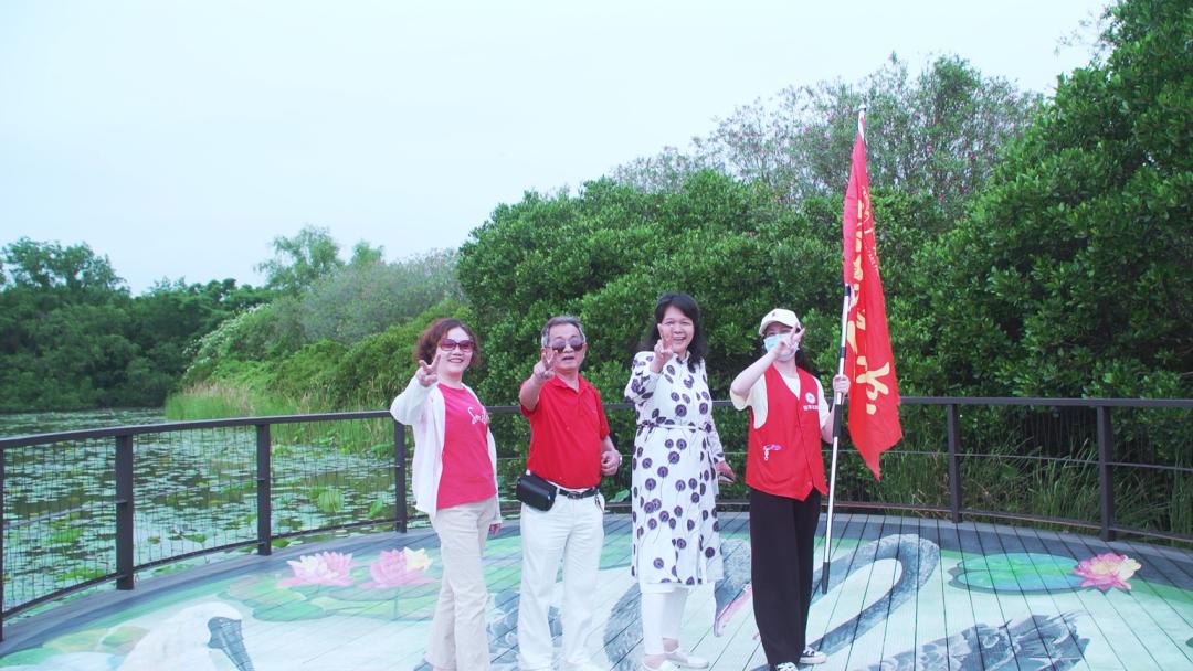 爱牙护牙健康知识优质课,爱牙护牙去哪里学习