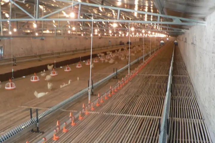 海关助力新产品出口,海关助力首批产品出口