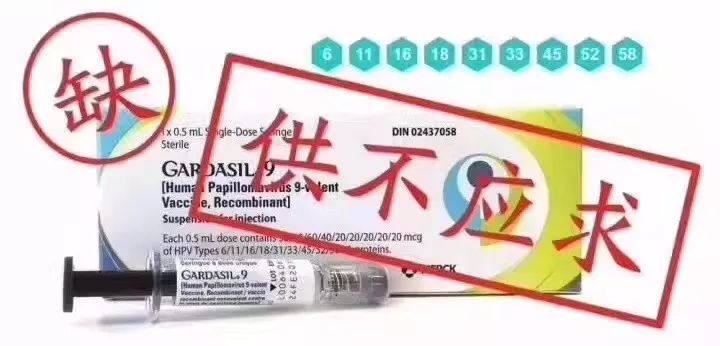 赴港必备三件套,出海4件套