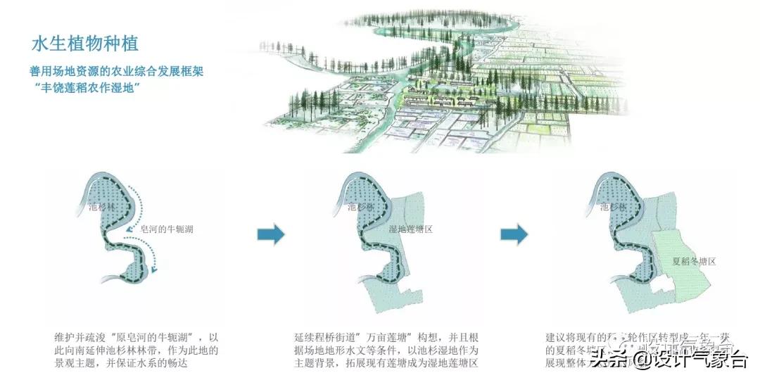 俞孔坚的设计作品,俞孔坚景观设计学