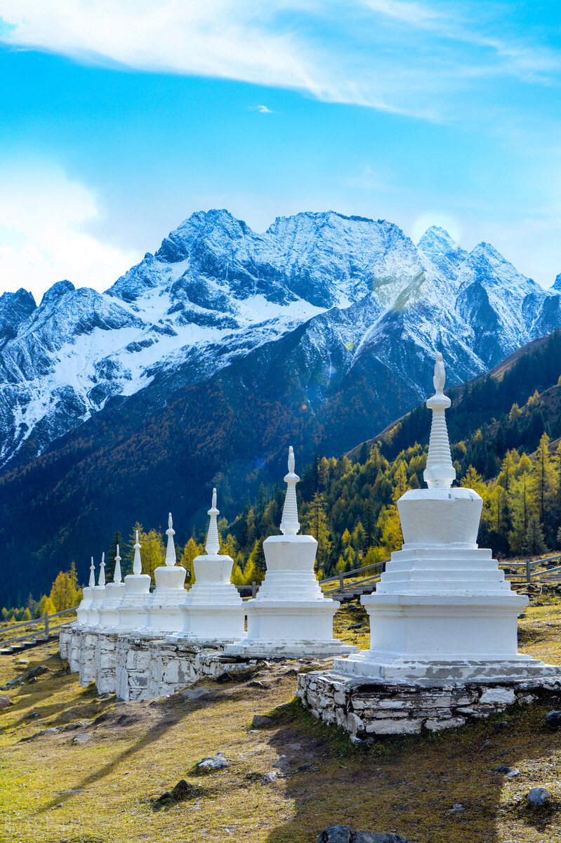 四川九寨沟旅游多少钱跟团,南阳到四川跟团旅行要多少钱