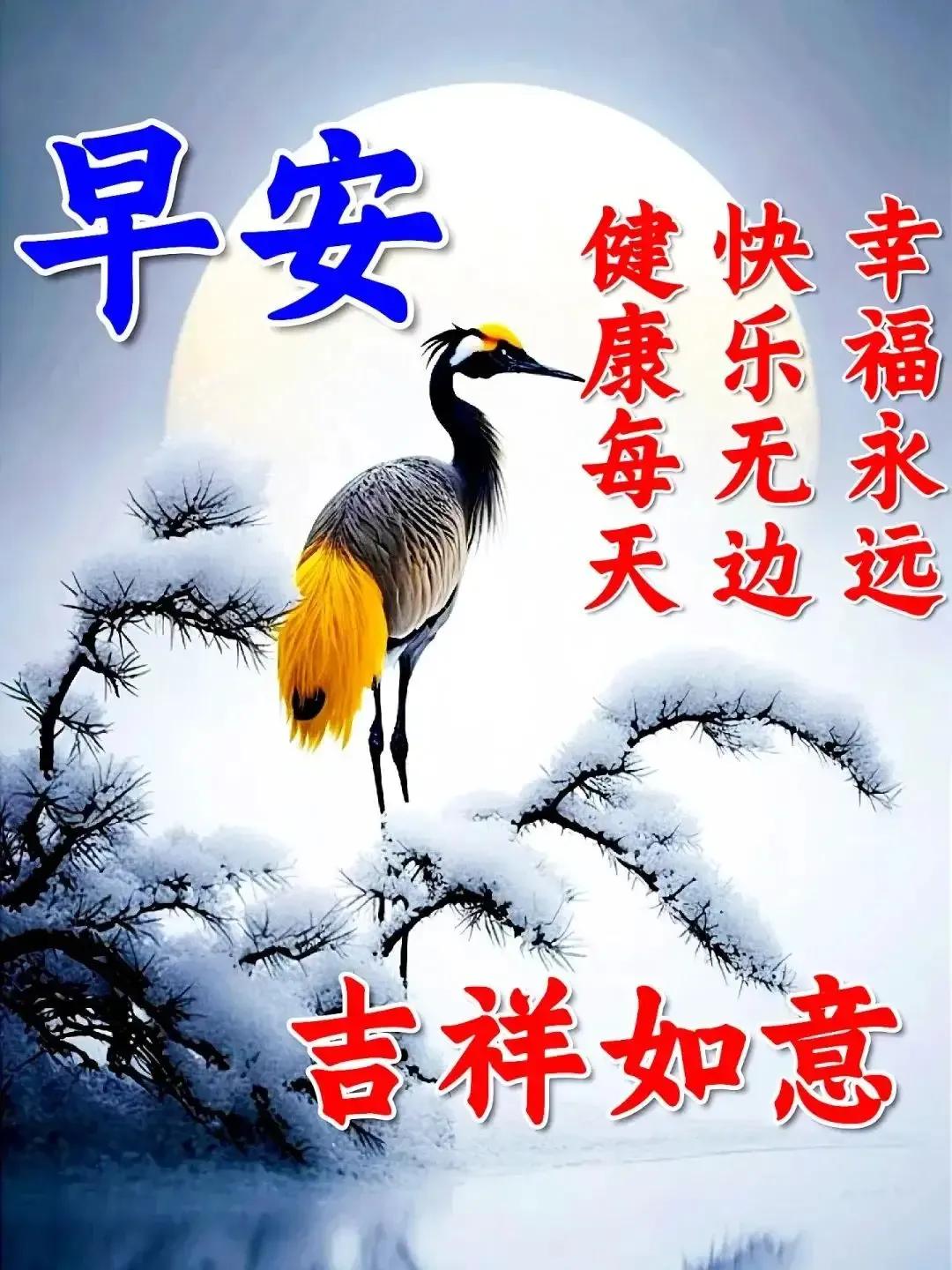 2023年02月27日星期一农历:癸卯年【兔年】二月初八八九第5天