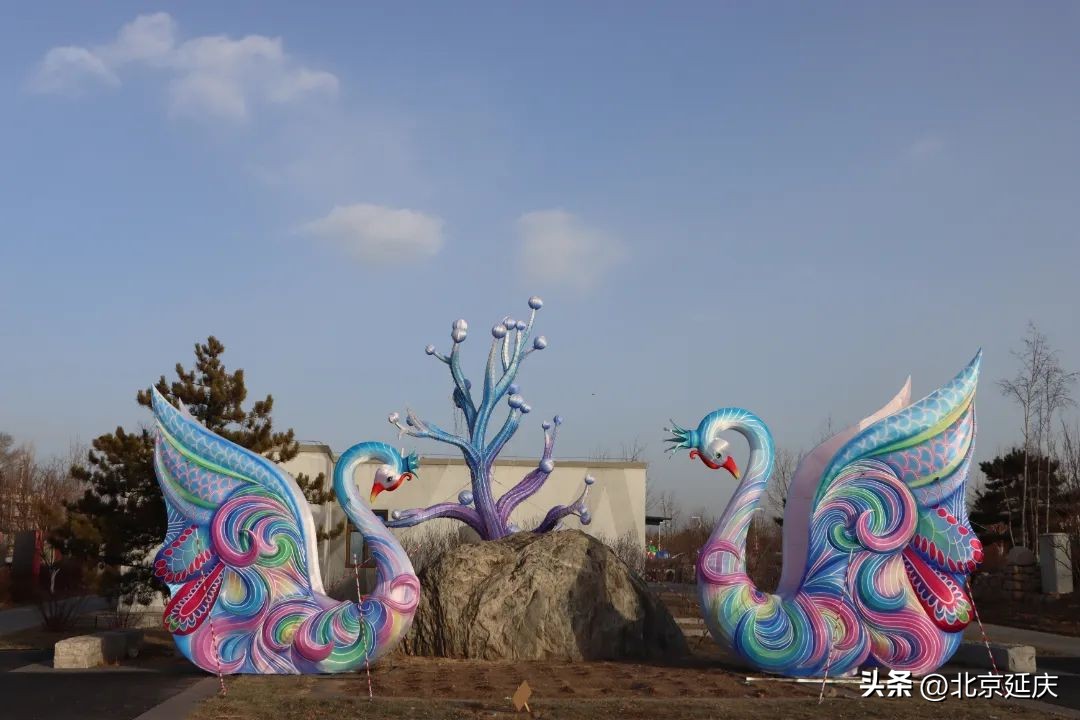 北京延庆世园公园新春闹花灯,北京世园公园花灯将点亮