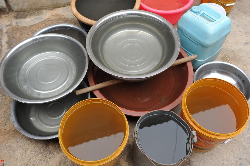 三角梅换盆浇水后隔几天再浇水,花卉换盆缓苗