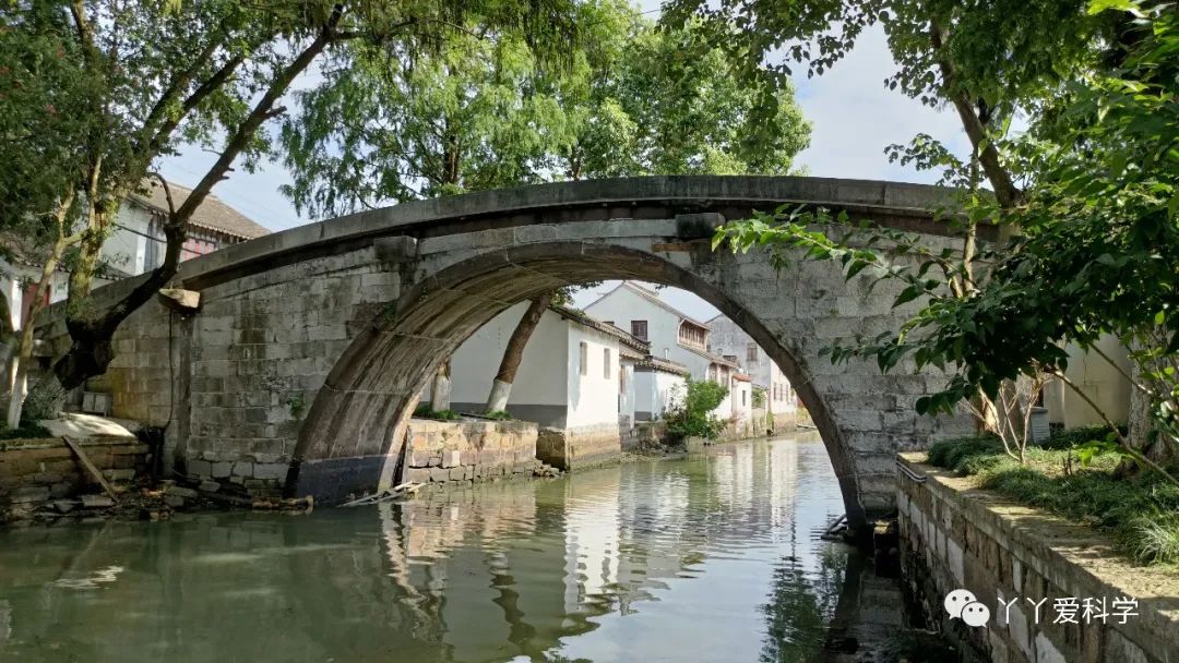 金泽古镇的古桥,金泽古镇各个桥介绍