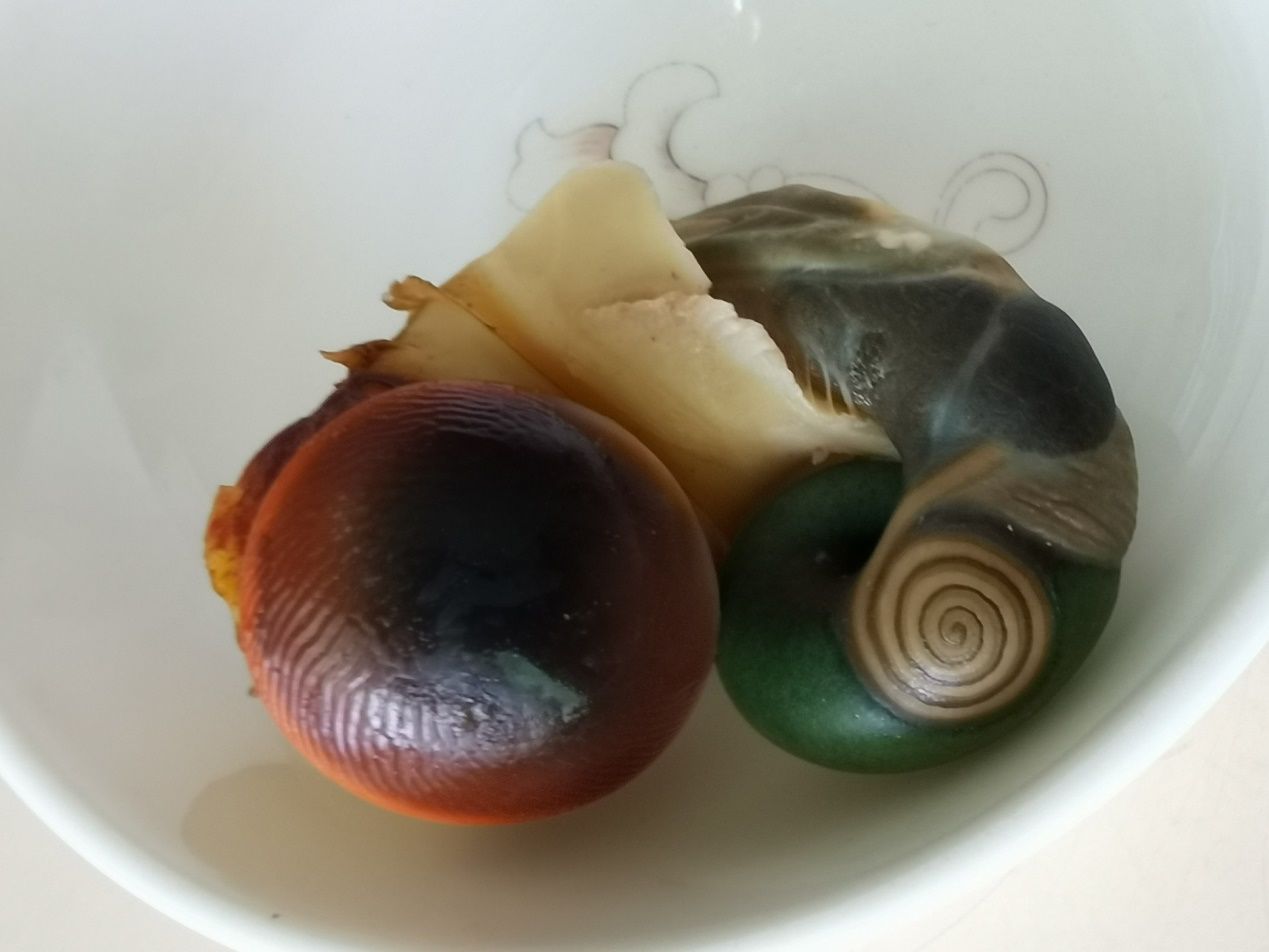 海南海鲜贝类有哪些,海南海鲜贝类