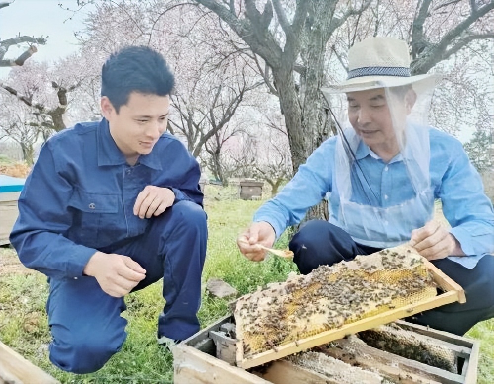 养蜂行情走势,养蜂前景最新信息