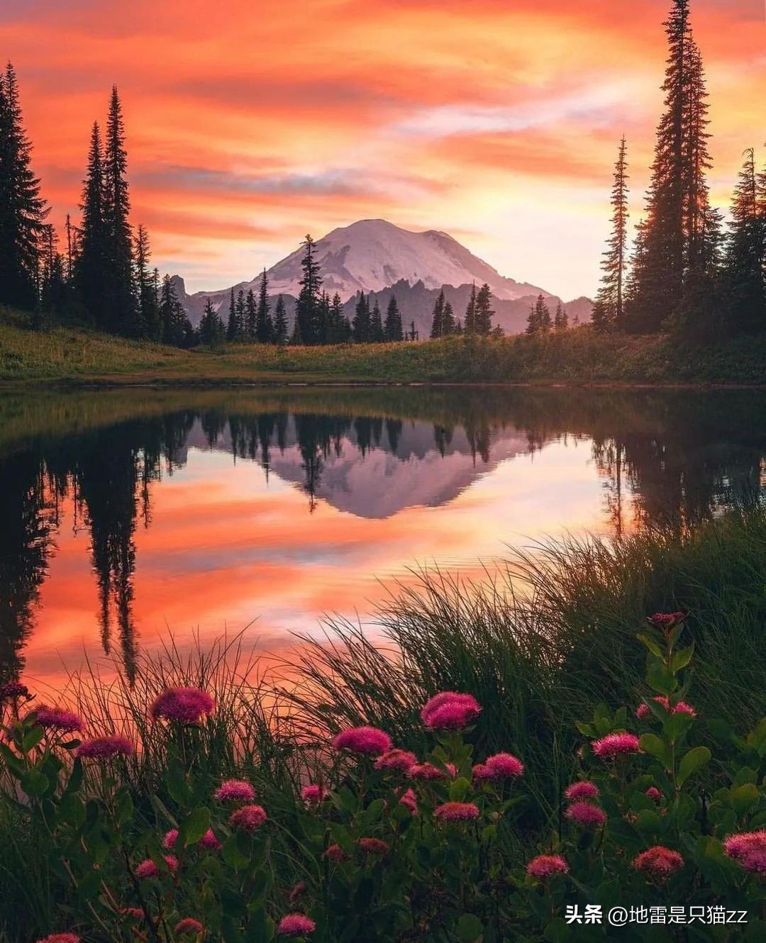 2023年5月16日今日星座运势,2023年6月17日星座运势