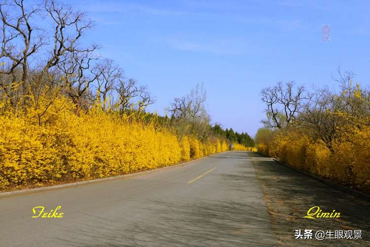 北京近郊春景,济南近郊春景