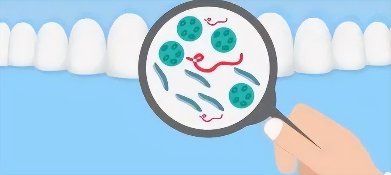 口腔菌群是什么,口腔微生物的世界