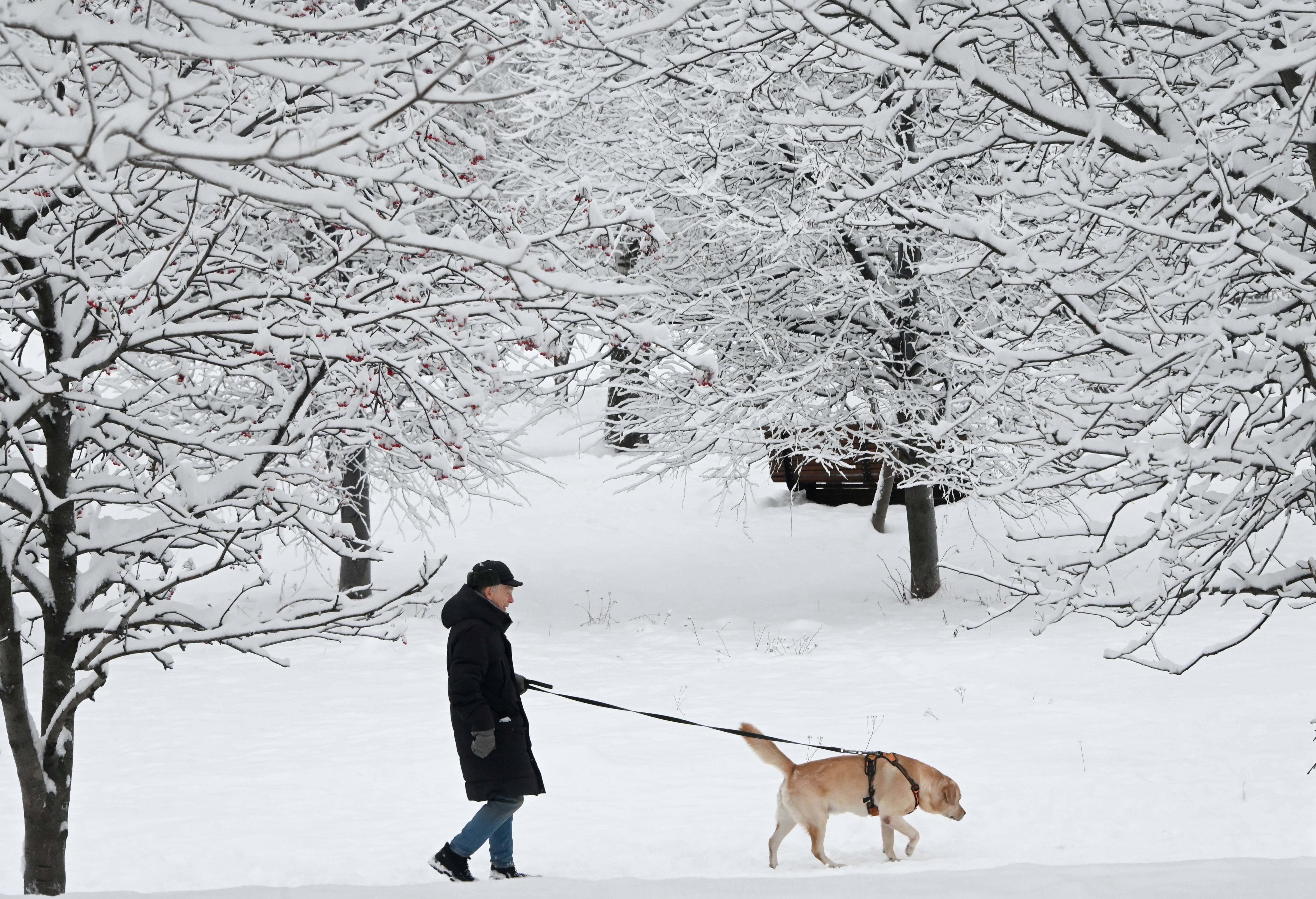 关于俄罗斯的十大冷知识,关于俄罗斯的19个冷知识