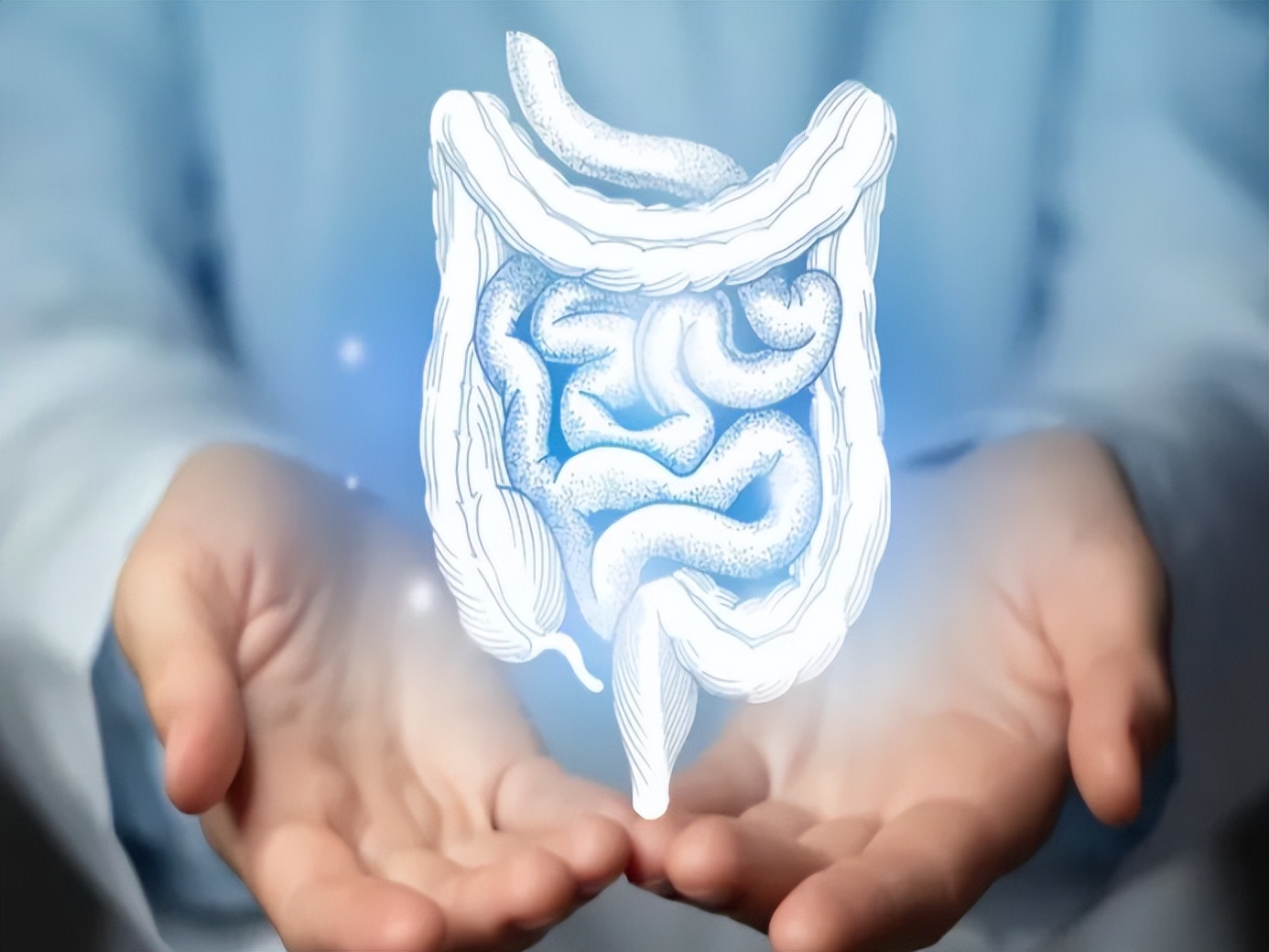 要长寿先肠寿如何保护肠道健康,肠道健康的长寿密码是什么