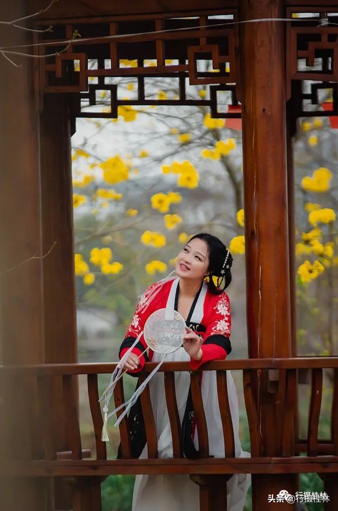 花仙子风铃,风铃花仙子