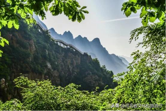 漫山漫水漫生活2019,漫山慢生活大山深处的桃花源