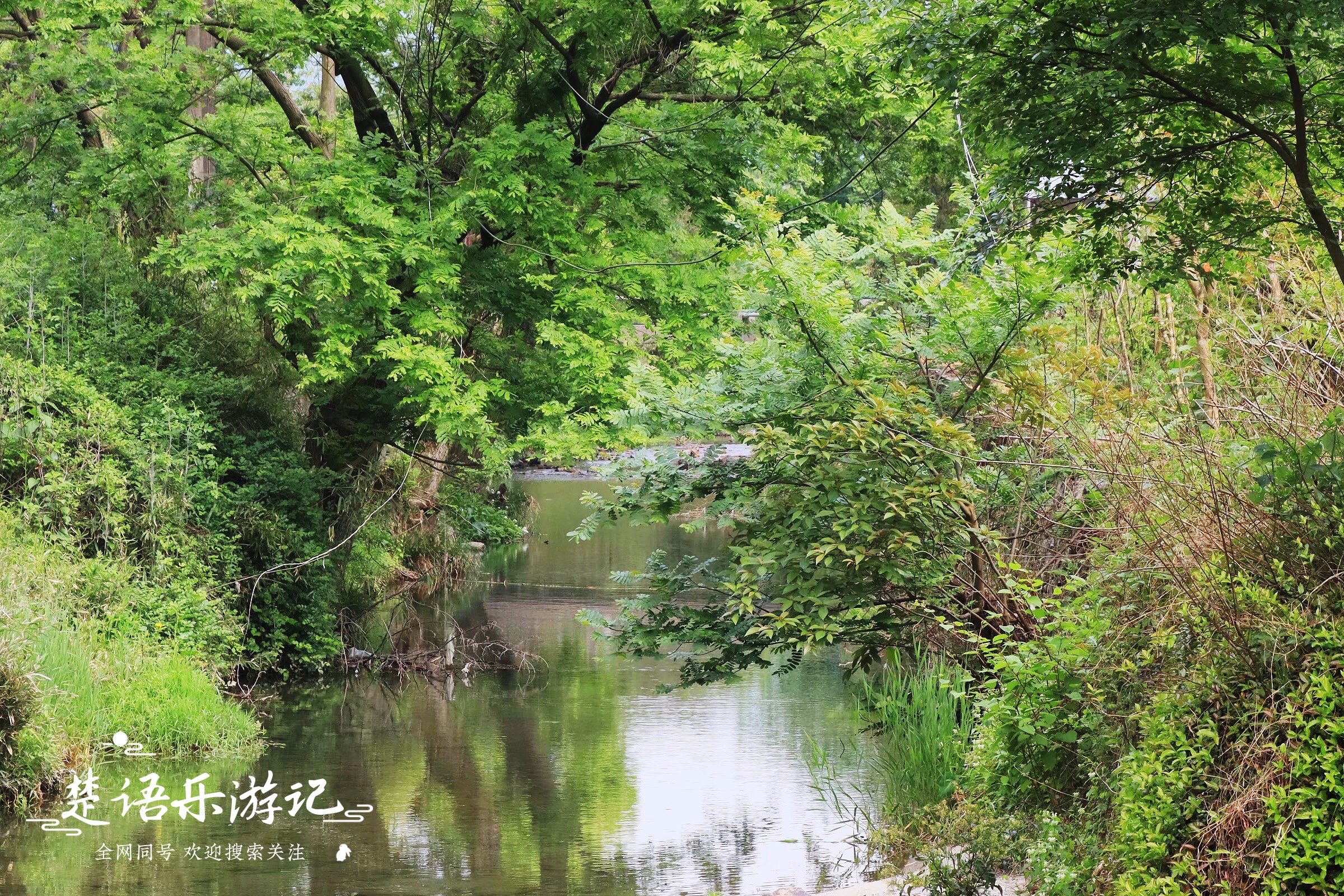 宁波东钱湖古村网红打卡地,宁波东钱湖湿地秘境