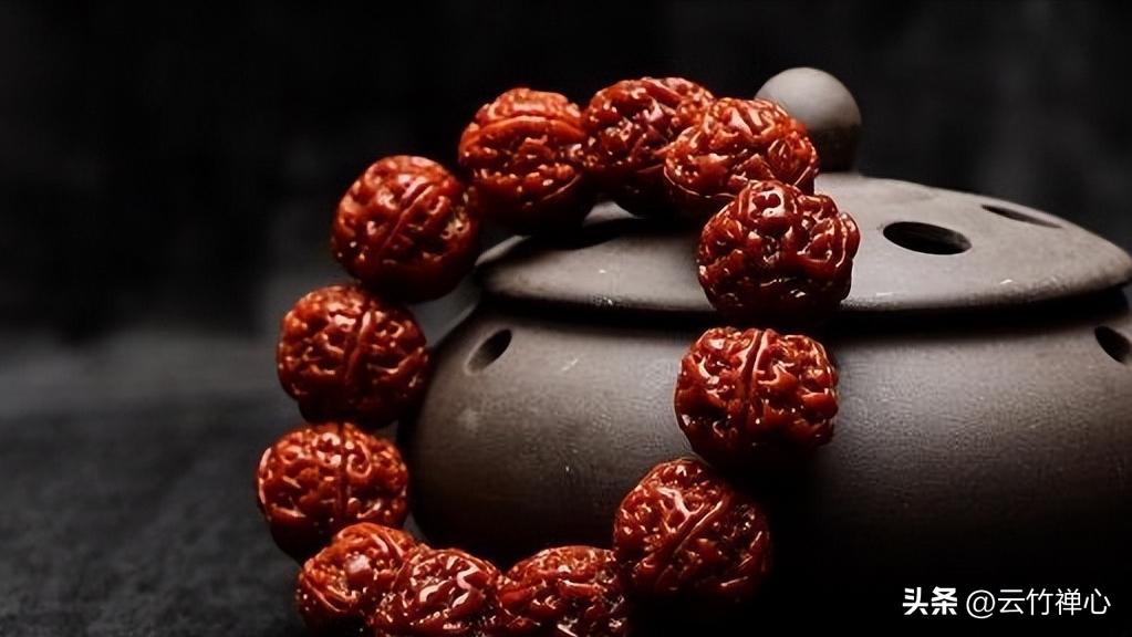 金刚菩提开裂如何处理,金刚菩提开裂怎么办