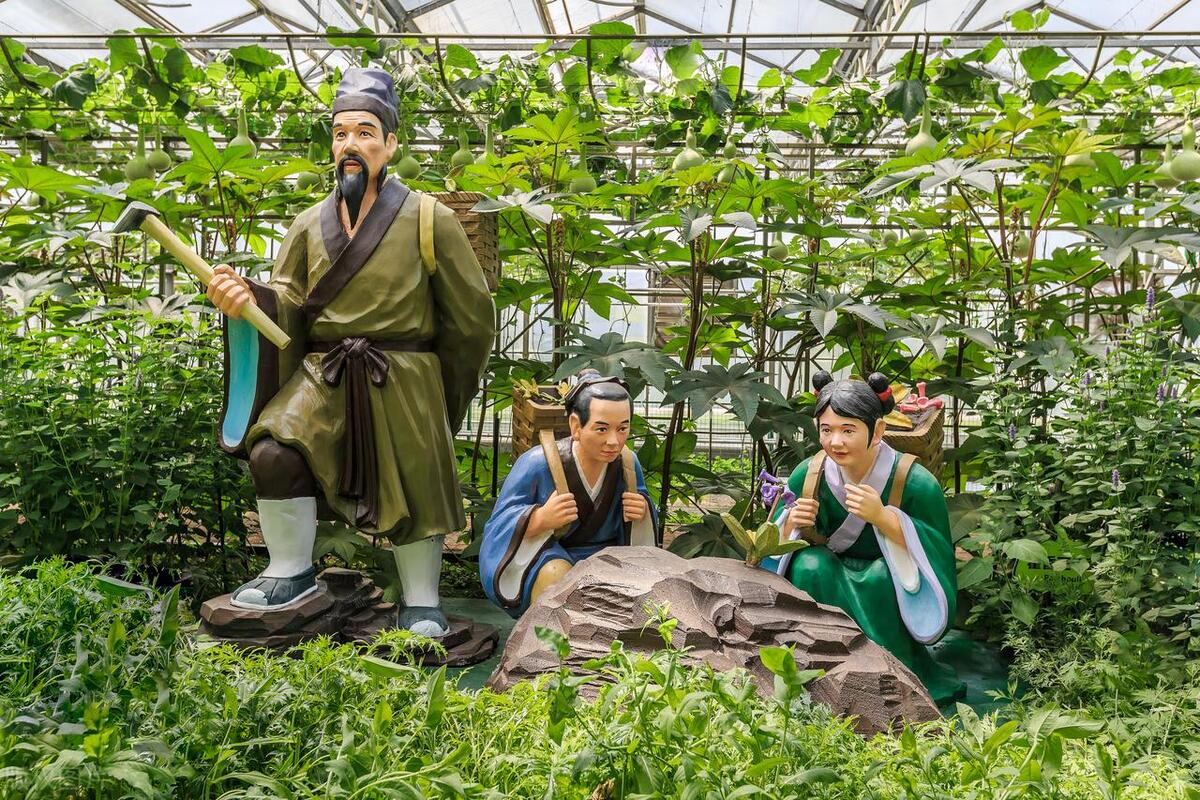 中医百科全书是哪本书,本草纲目中药百科全书