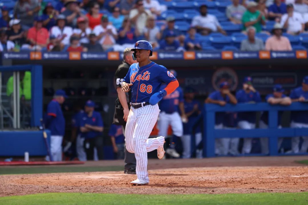 “最强二代”蓝鸟军团，大都会双赛扬压阵，今年的两队大有可为