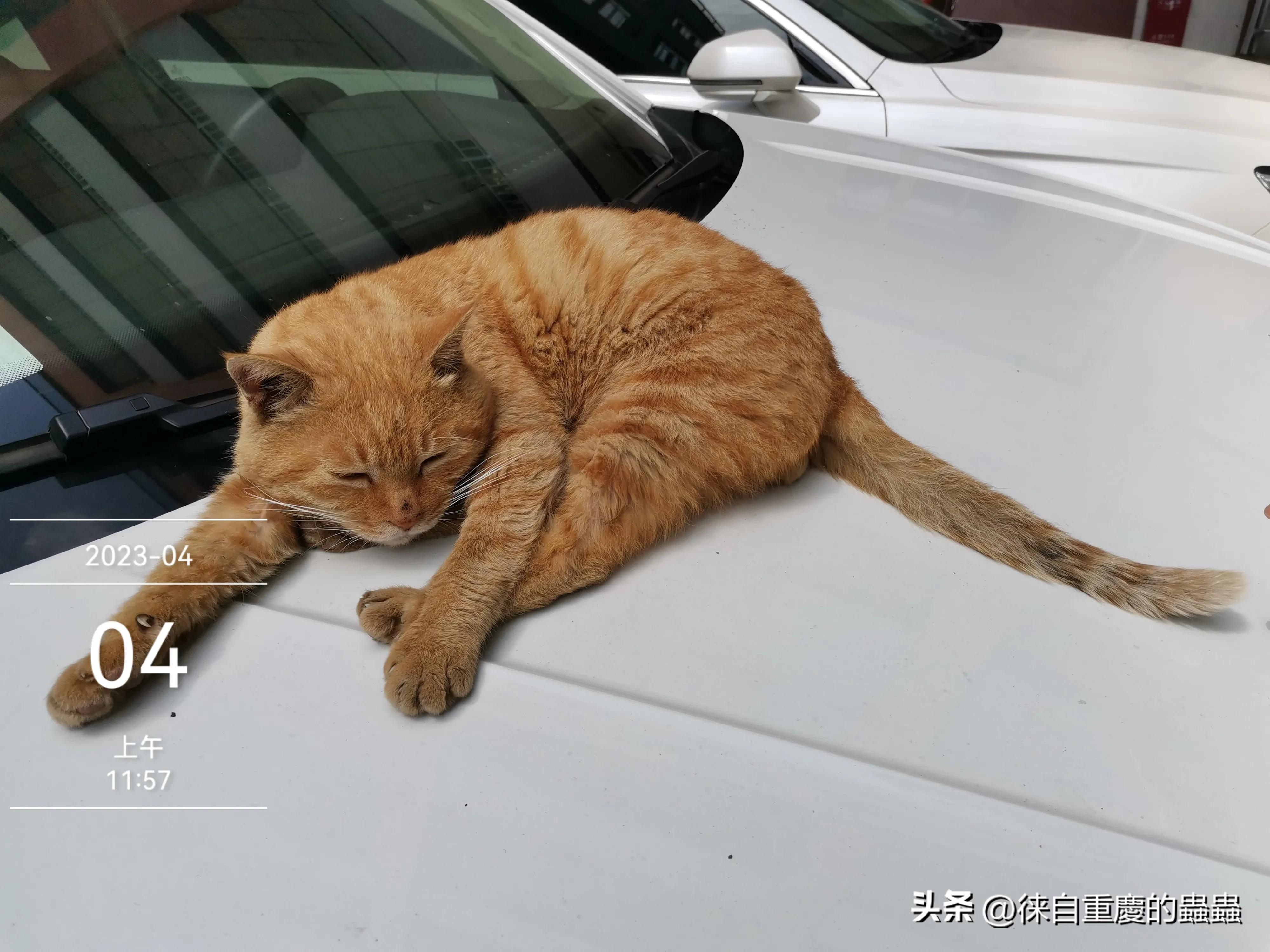 正在愁文章没有阅读量的朋友今天晚上何不到大街上压压马路