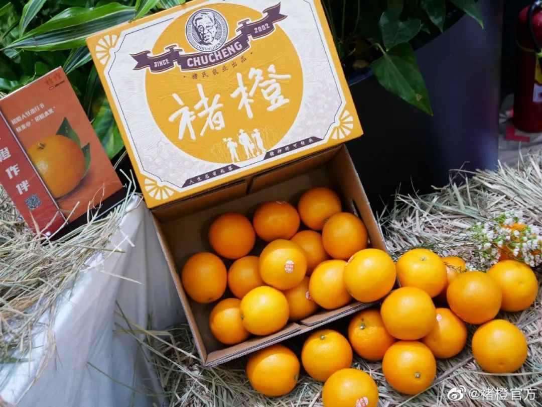 各国自有品牌发展现状,国际品牌进化史