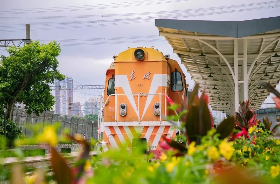 深圳10个小众打卡地免费游玩,深圳小众海边游玩攻略