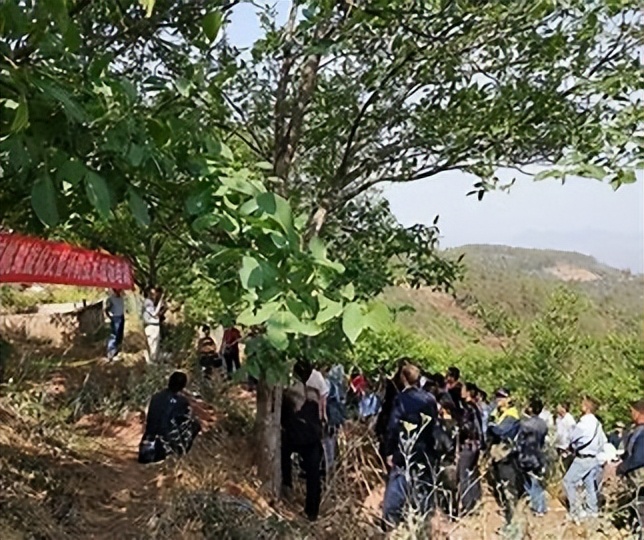 利用林业资源带动经济发展的举措,利用与发展