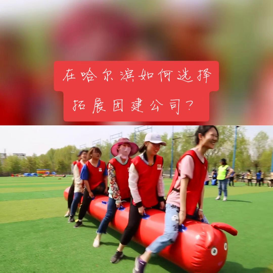 提升团队精神的团建方案,团建活动提升凝聚力的项目