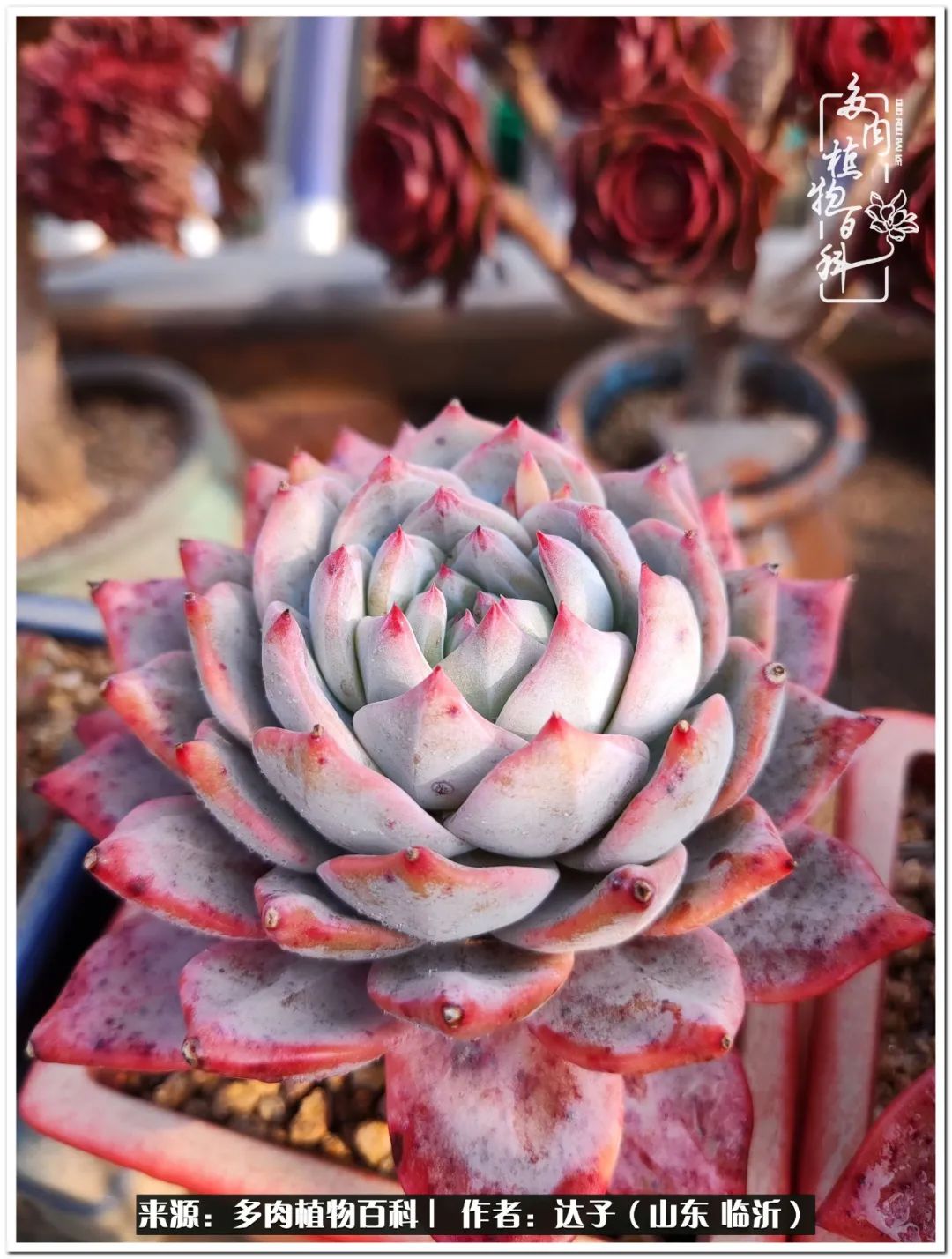 活在当下珍惜眼前平凡的生活,活在当下感慨万千