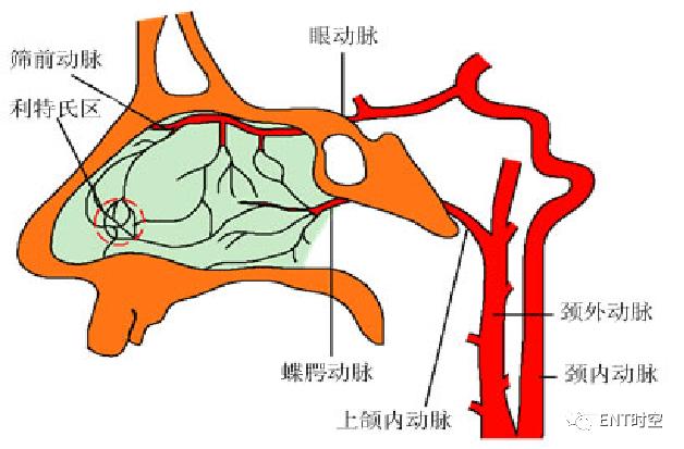 引起鼻出血的病因有哪些,鼻出血病因及诊断治疗方法推荐