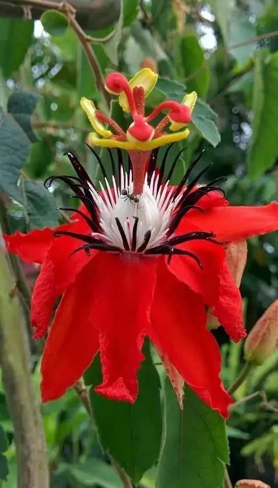 北京市师德演讲稿,赞美师德的演讲稿