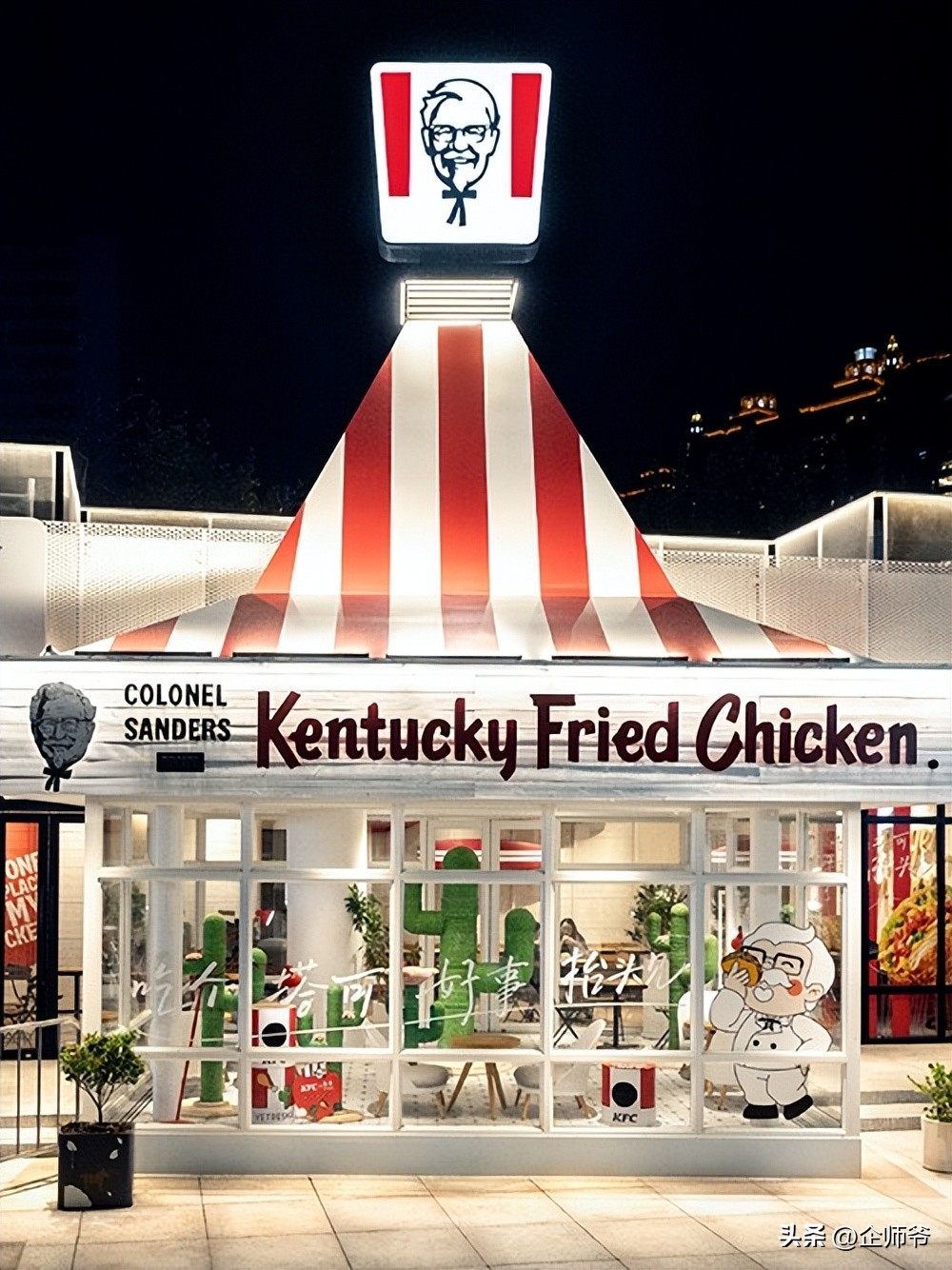 肯德基自制猫窝,肯德基允许带猫吗