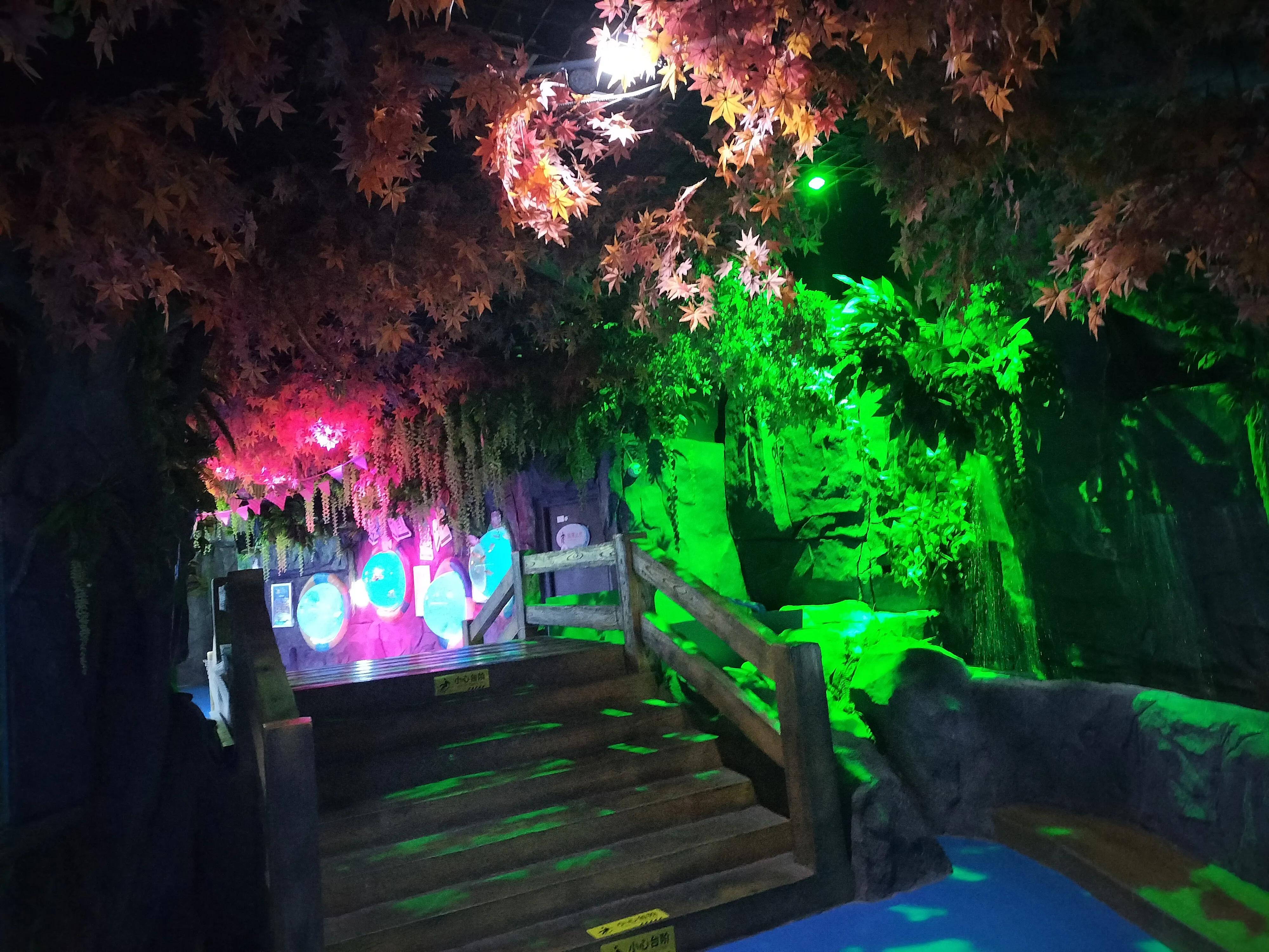 夜半梳头的歌,半夜梳头的说法