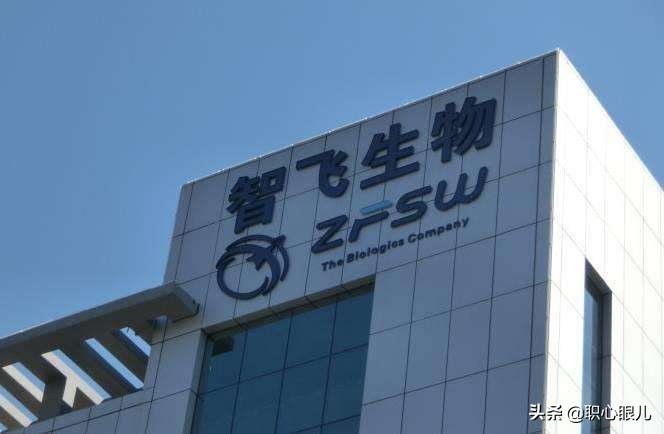 广西大叔，46岁卖房创业，称“不发国难财”，疫情期半年赚1000亿