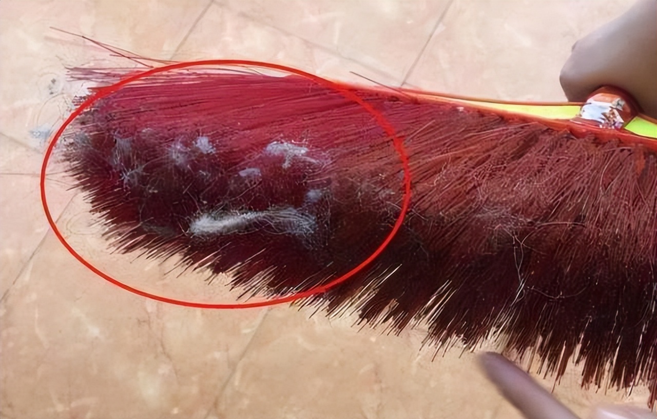 家里总是有灰尘毛絮用什么擦除,家里老是有毛毛灰怎么清除干净