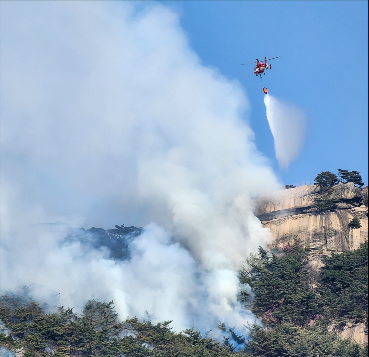韩国首尔景福宫和青瓦台,韩国森林大火最新