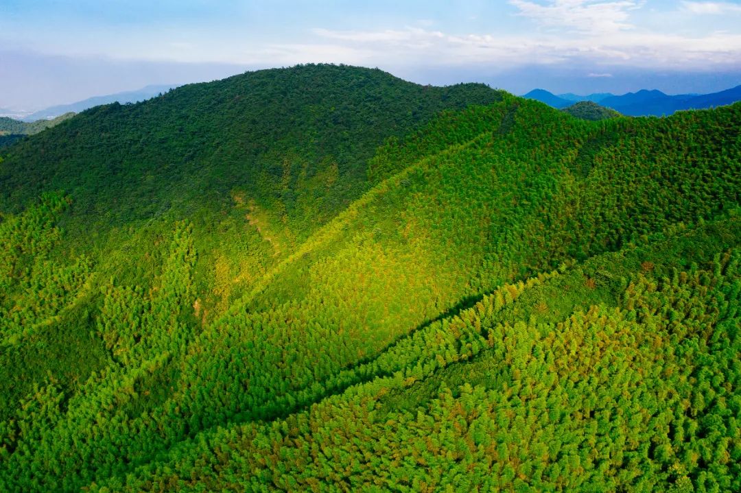 莫干山三天两晚绝美民宿,藏在莫干山的这家民宿真的美翻了