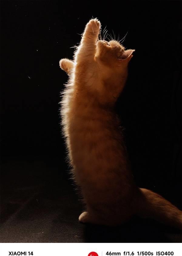 小米14系列重磅升级：光影猎人徕卡Sx镜头引爆眼球！